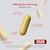 Berberine Supplement 500mg Per Serving (60 Capsules) Berberine HCL for Gut Health Support for Men and Women - Premium Supplements for Adults - Third Party Tested - Vegan Capsules & USA Made