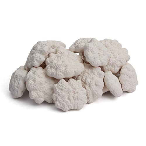 True Atlantic Textured Reef Plugs for Frag Rock Station - Mushroom Fragging Plugs for Coralline Algae Growth