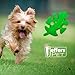 Jeffers Pet Natural Rubber Dog Chew Toy – Green Leaf Shape, Medium – Vanilla Scent, Durable, Non-Toxic, Dishwasher Safe, Interactive Fetch & Tug Toy - Perfect for Play, Training at Home