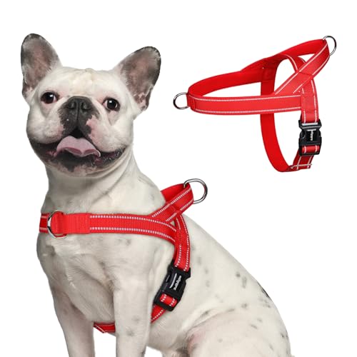 rabbitgoo Dog Harness No Pull, Quick Fit for Small Dogs with Soft Padded Handle, Chest Adjustable...