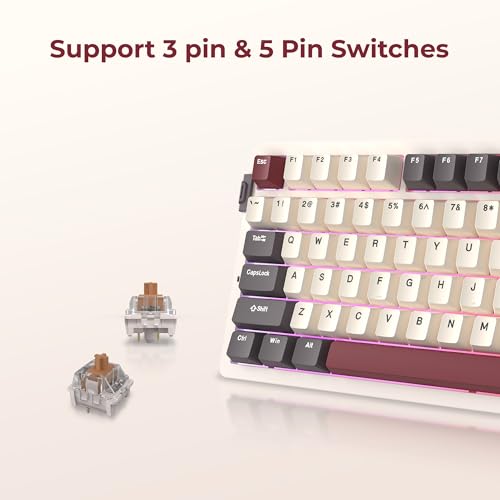 Image of Rosewill Neon S75 Wireless Mechanical Gaming Keyboard, 80-Key Layout w /Volume Knob, Bluetooth / 2.4GHz / USB-C, Hot-Swappable Brown Switches, RGB Backlit, 6000mAh Battery, Windows & macOS, White