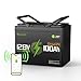 GREENOE 12V100Ah Bluetooth LiFePO4 Battery, 15000 Charging Cycles, Lightweight Compact, Perfect For Rv, Trolling Motors,Solar Systems