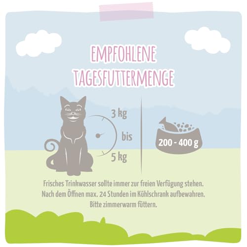 MjAMjAM - Premium Nassfutter für Katzen - saftiges Huhn und Wildlachs, 6er Pack (6 x 400 g), getreidefrei mit extra viel Fleisch