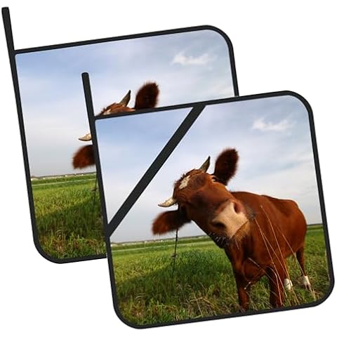 JASAKOO Funky Cow Pot Holders Set of 2 Cover