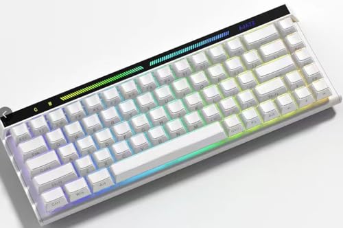 VK68 65% ゲーミングキーボード、有線バックライト付き、68キー、超コンパクト、アンチゴースティング、PC・ノートパソコン・Windows向け