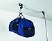 Garage Hoist - 100 lbs, Ceiling Mount