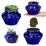 Sunnychicc 2 Sets African Violet Pots 6 Inch Self Watering Pot for Indoor Ceramic Self Watering Planter for Flower Lovers Ideal Plant Pot Thriving Flower Maintenance