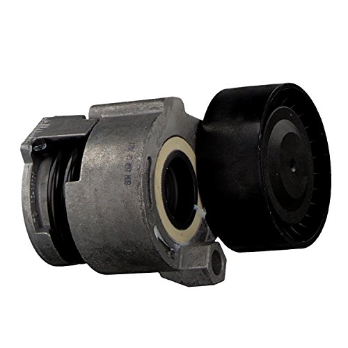 Febi-Bilstein 30159 - Tendicinghia, Cinghia Poly-V...