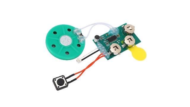 Amazon.com: Recordable Voice Module,4 Minutes DIY Recordable