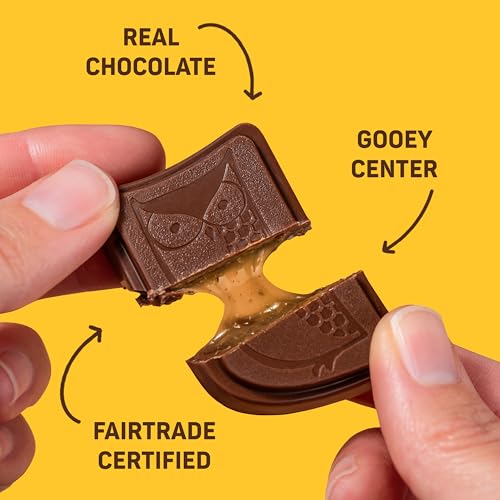 AWAKE - Caffeinated Chocolate Bites - 50mg Caffeine per bite - Winter Wake Up Variety Pack (3 Flavors), 50 Bites - Peanut Butter, Milk, & Caramel - Energy Bites - Coffee Alternative - Fairtrade, Gluten Free, Non GMO - 0.48oz each