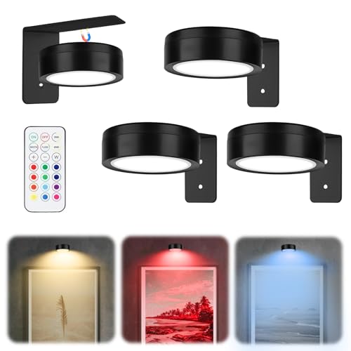 Noaya 3 Pcs Magnetic Wall Lights - 13 RGB Wireless Picture Lights with Remote, Battery Operated Art Drawing Wall Lamp, Poster Light, Creative LED Wireless Lamp for Home Bedroom Living Room, Black
