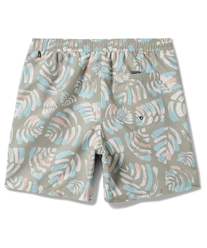 Quiksilver - Mens Everyday Mix Volley 17 Nb Shorts, Color Pale Aloe, Size: Large2