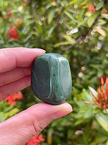 Image of GAF TREASURES 1 /2 LB Nephrite Jade Tumbled Stones, Polished Nephrite Jade Gemstone, Nephrite Jade Healing Crystals (Nephrite Jade)