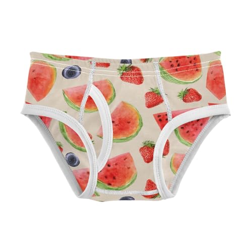 Wusikd Watercolor Strawberries Boys' Underwear Cotton Watermelon Boys Briefs Soft Toddler Underwear 2T