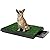 Topiaukstore Pawsfiesta Indoor Pet Toilet Dog Grass Restroom Potty Training with Tray and Loo Pad