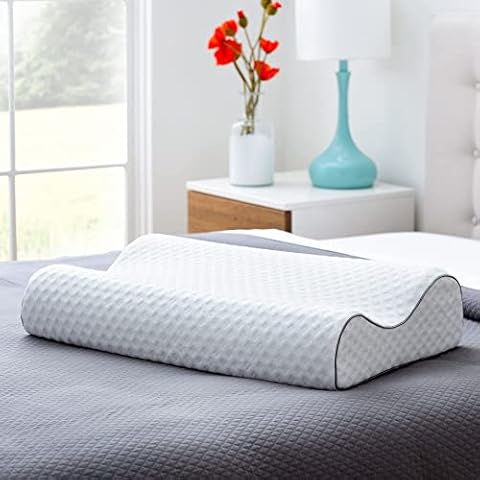 Oreiller ergonomique Linenspa Cover