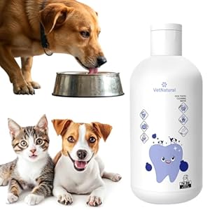 PawBright Dental Plus, Dog Dental Plus Water Natural, fórmula sin olor y sin sabor para combatir el sarro, promueve encías saludables, fácil uso diario para todas las mascotas, 1 unidad (8.45 onzas)
