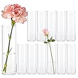 Der Rose Kleine Vasen für Tischdeko 15cm Zylinder Vasen Set Modern Blumenvase für Home Hochzeit Party Deko 12 Stück