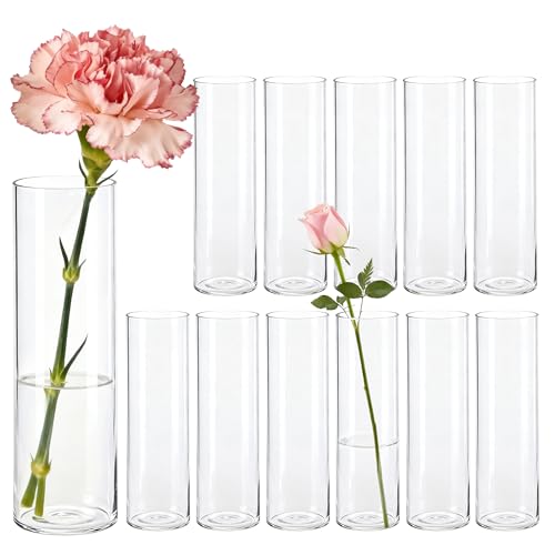 Der Rose Kleine Vasen für Tischdeko 15cm Zylinder Vasen Set Modern Blumenvase für Home Hochzeit Party Deko 12 Stück