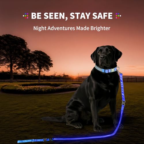 LED Dog Leash, Reflective Waterproof Light Up Safety Leashes, 6FT, Blue by PetIsay - Used condition - Image 2
