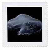 Square dimensions (in inches): 12 L x 12 W, image dimensions (in inches): 10 L x 10 W 100% poloyester; image is soft to touch. Made in USA Edges have pinking shear cut Image will not fade with washing. Image not a transfer, part of material