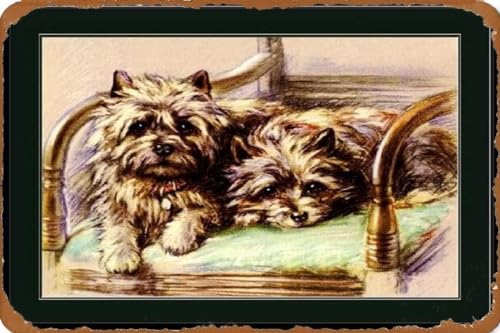 Be[W uL Ŕ p摜vgPA[eAfIqqA[g Be[W uL Ŕ AJ W 20X30cm