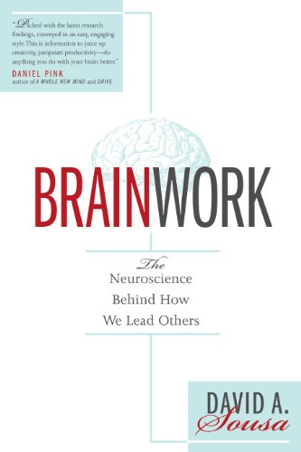 Brainwork view 2