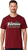 DirtyRagz Men's Festivus For The Rest Of Us T-Shirt XL Maroon