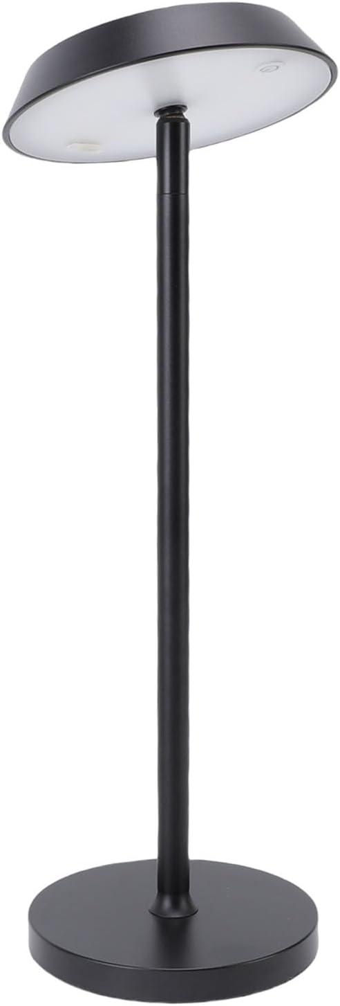 GOTOTOP LED Desk Lamp, Aluminum Portable Light with 2 Brightness Levels, USB Rechargeable 200lm for Bedroom and Camping