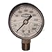 Dixon Valve GL335, 0-160 PSI ABS Standard Dry Gauge Lower Mount (Pack of 15 pcs)