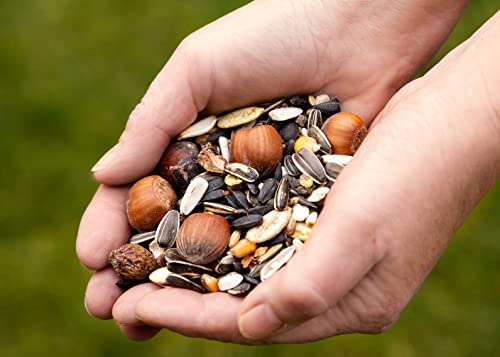 Canifee - Eichhörnchen Futter 0.9 kg Mini-Nachfüllpack artgerechtes Wildtierfutter ganzjährige Futtermischung - Nachfüllbeutel mit der extra Portion Haselnüsse - auch für Streifenhörnchen
