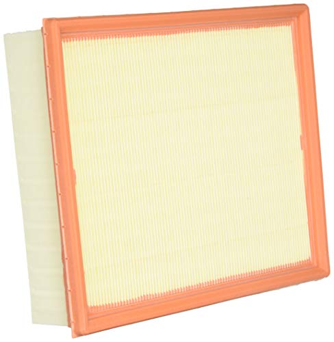 MANN-FILTER C 26 168/2 Filtro Aria - per Auto