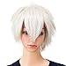 SWACC Unisex Fashion Spiky Layered Short Anime Cosplay Wig for Men and Women (White)