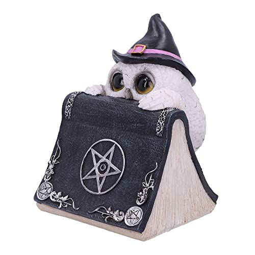 Incantesimo gufo 15 cm nero