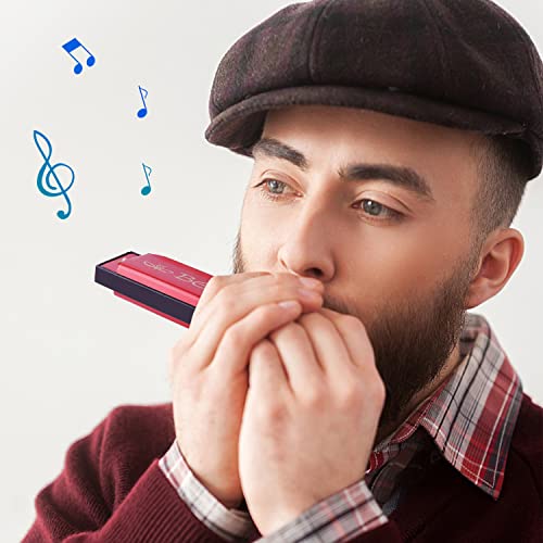 NTGRTY Lot de 2 harmonica diatonique diatonique pour enfant avec 10 trous - Les Beatles, Paul McCartney, John Lennon, RIngo Starr, George Harrison NTGRTY Lot de 2 harmonica diatonique diatonique pour enfant avec 10 trous – Image 5