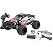 Produktbild Reely NEW1 Brushed 1:10 RC Modellauto Elektro Monstertruck Allradantrieb (4WD) 100% RTR 2,4 GHz inkl. Akku, Ladegerät u