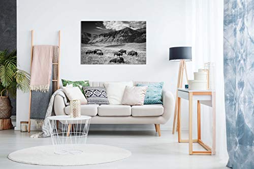 Black & White Wall Art Buffalo Grazing Mountain Landscape Canvas Wall Art Picture Print (36X24) #TOP2