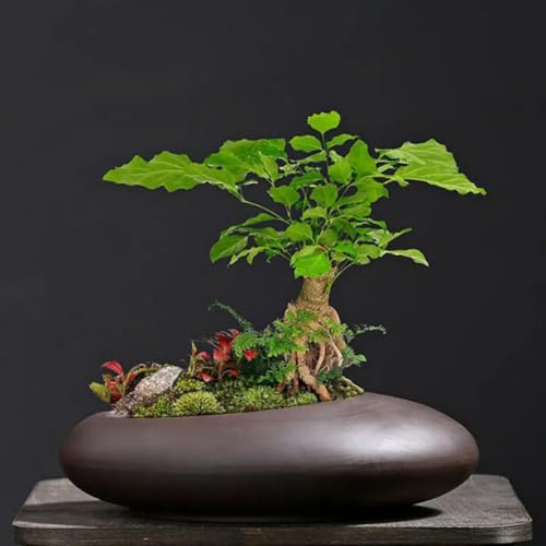 Pot de fleurs rétro violet respirant pour bureau et décoration de jardin