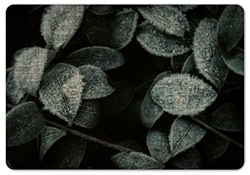 Interluxe Fußmatte 40x60 cm - Frozen Leaves - Blätter Boho Freunde Besuch rutschfeste Fussmatte...