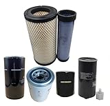 Sincerity 006000456F1 006000455F1 006016642V91 006018618D1 12305152100 15532302100 Filter Kit