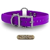 Outdoor Dog Supply 1' Heavy Duty Waterproof D-Ring & Center O-Ring Dog Collar for Medium & Large Dogs | Custom 3/4' Brass Nameplate(Purple, 18')