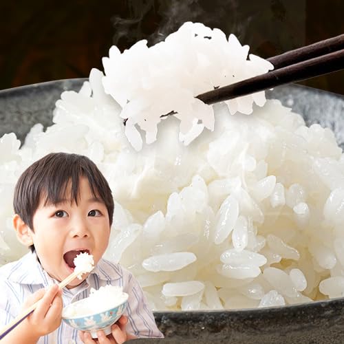 [3ヶ月定期便]米 岡山ふるさと無洗米 5kg 岡山県産 無洗米[お申込み月の翌月から出荷開始]岡山県 備前市 お米 こめ 国産 訳あり