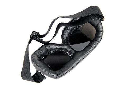 FreshGadgetz 1 Set di Occhiali Vintage Moto Custom...