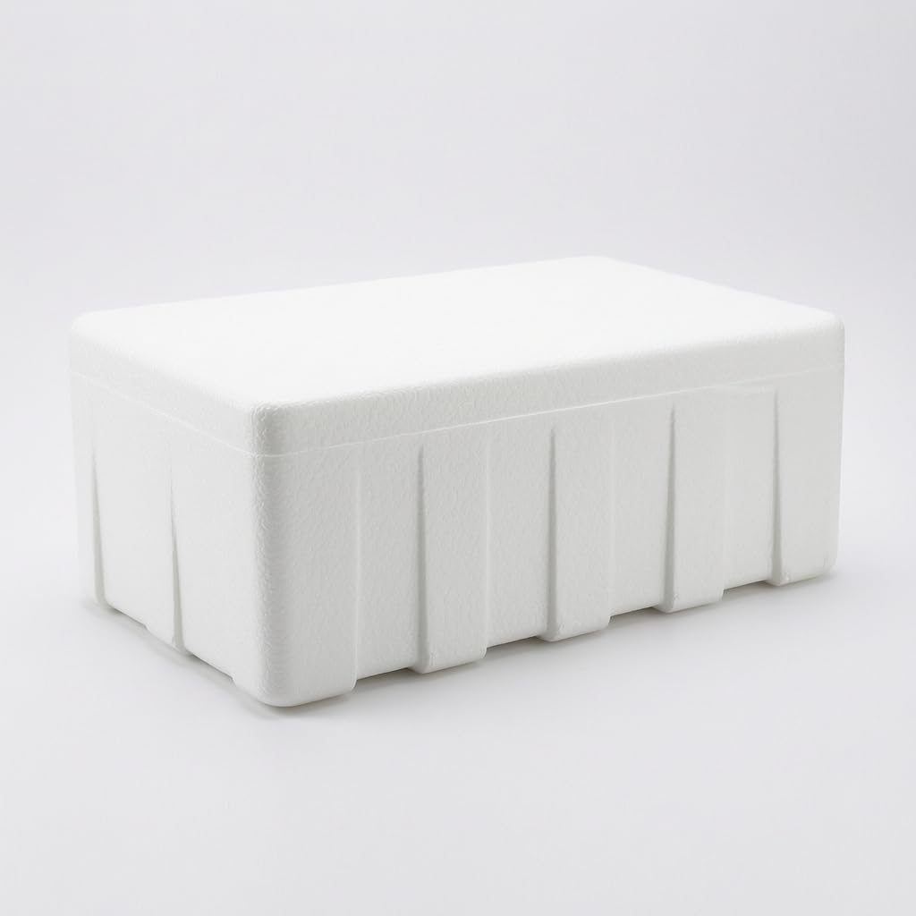 B Baosity Contenedor Almacenamiento con Aislamiento Termico Espuma Robusta y Pares Resistentes para Carne Pescado y sin terioro para eria y Conservacion, Style to 1