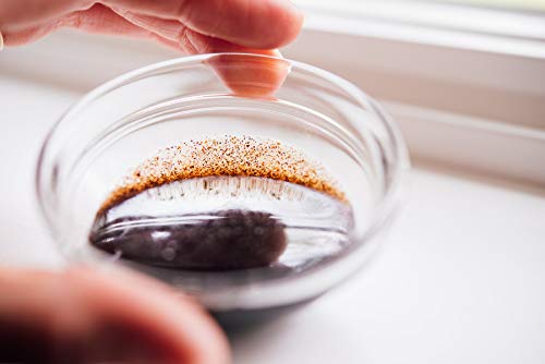 Rodelle Paste, Vanilla, 4 Fl Oz (Pack Of 1) #TOP5