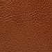 Fossil Women's Carlie Eco Leather Satchel Purse Handbag, Brown (Model: ZB1772200)