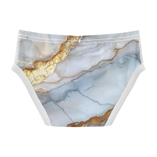 GuoChe Boys Underwear Briefs Soft Cotton Marble Silver Neutral in Sizes 2T,3T, 4T, 5T, 6Y and 8Y2