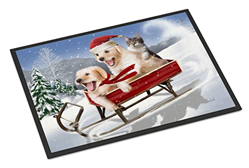 Caroline's Treasures PTW2015JMAT Dogs and Kitten in Sled Need for Speed Doormat 24x36 Front Door Mat Indoor Outdoor Rugs for Entryway, Non Slip Washable Low Pile, 24H X 36W