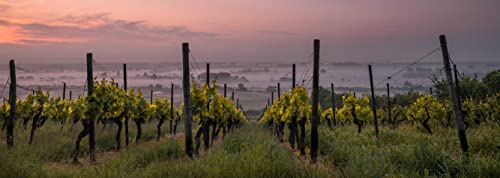 hansepuzzle 30380 - Wein-Berg Puzzle 1000 Teile - Reisen mit hochwertiger Aufbewahrung: Kartonbox und wiederverschließbarem Beutel - Format 90 × 31,7 cm