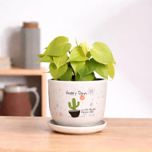 Image of Urban Upvan Happy Days Printed Ceramic Pot with Tray - Premium Decorative Planter for Indoor & Outdoor Plants, Modern Elegant Flower Pot for Home, Garden & Office